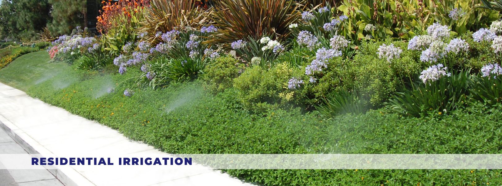 Garden Spray Irrigation